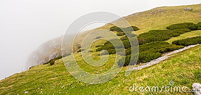 Cloud covering green cliff Stock Photo