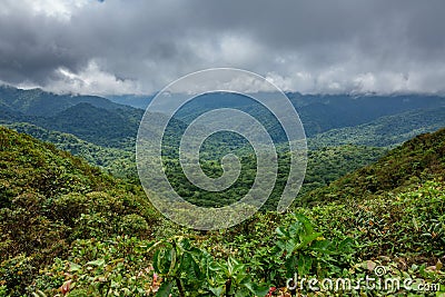 Cloud forest covering Bosque Nuboso Monteverde, Costa Rica Stock Photo