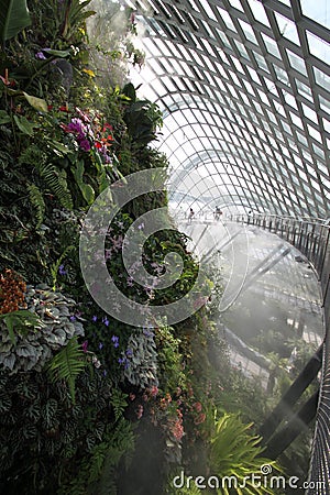 Cloud Forest Walkway Singapore Botanic Garden Stock Photo