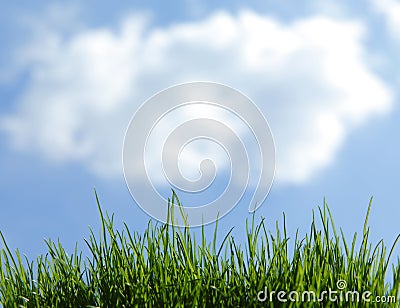 Cloud over fresh grass Stock Photo