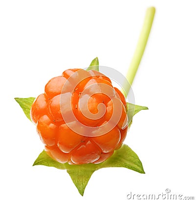 Cloudberry Berry isolated Stock Photo