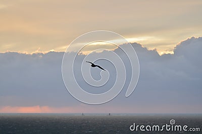 clouded Coast sunset with birds colorfull pastell over ocean Stock Photo