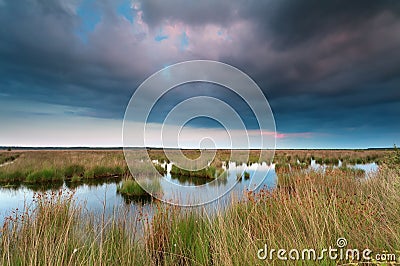 Clouded sunset over swamp Stock Photo