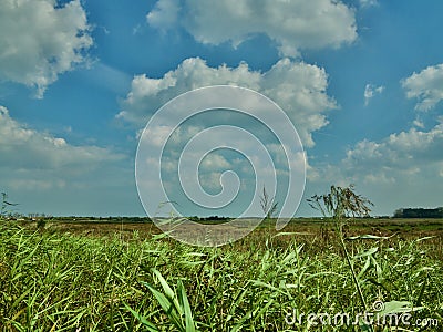 Clouds above the Norfolk landscape Stock Photo