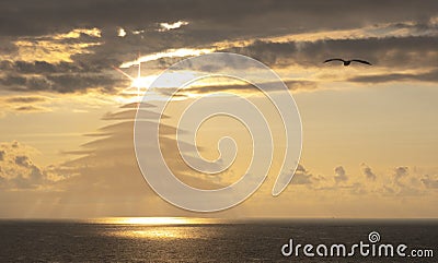 Clouds form a Christmas tree over the sea Stock Photo