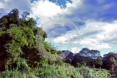 Clouds High Grass blue Mountains Forest Trees Green Cloudy Background Stock Photo
