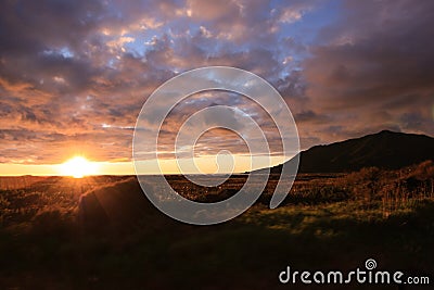 Golden fields with sunset Stock Photo