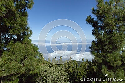 Clouds and mountains on Tenerife framed by pine trees Stock Photo