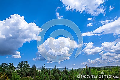 Clouds over pine trees Stock Photo