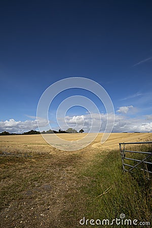 Clouds over recently harvested crop Stock Photo