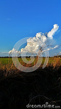 Clouds over rice field Stock Photo