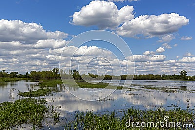 Clouds reflected in the waters of a wetland conservation area Stock Photo