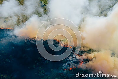 Clouds of smoke above dry burning field, natural disaster wildfire. Burning nature with fire, aerial view Stock Photo