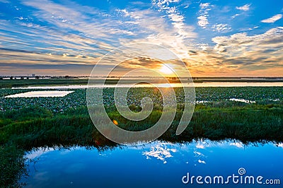 The cloudscape and lake Stock Photo