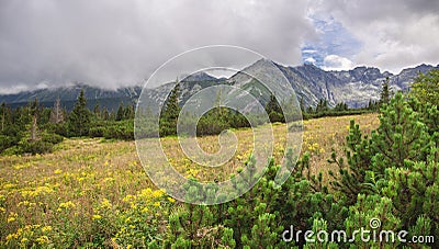 Cloudy alpine landscape. Meadow with green grass and mountains in the background. Valley in the mountains scenery in the summer Stock Photo
