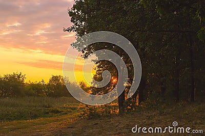 Cloudy autumn morning. Fresh nature. Bright sunrise in the meadow. Stock Photo