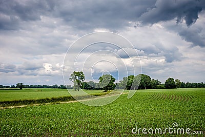 Cloudy Dutch Summer landscape in June near Delden Twente, Overijssel Stock Photo