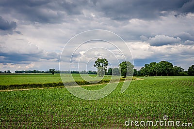 Cloudy Dutch Summer landscape in June near Delden Twente, Overijssel Stock Photo