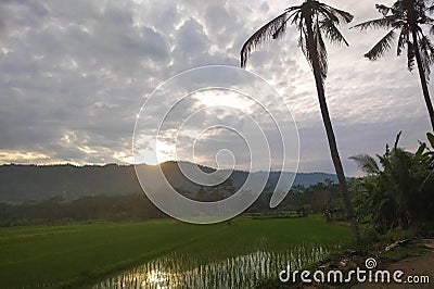 cloudy morning on ricefield, Bali. Bali, Indonesia- June 1st 2022 Stock Photo