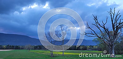 Cloudy overcast sky at dusk with dead trees and vivid green yellow field and blue mountains landscape of rural farmland New York Stock Photo