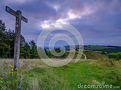 Cloudy overcast summer sunrise over the South Downs Way footpath from Beacon Hill and Harting Down in the South Downs National Stock Photo