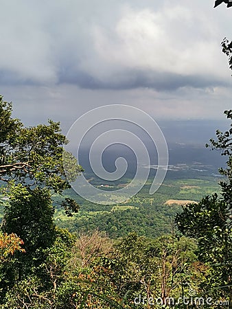 Cloudy sky and dense trees branches, grass and leaves foreground, view from rainforest mountain peak of Gunung Panti, Malaysia Stock Photo