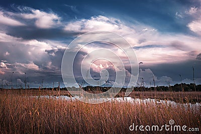 Cloudy sky landscape. Sunset on the lake meadows of Kalkan side through the reeds Stock Photo