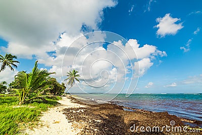 Cloudy sky over Autre Bord beach in Guadeloupe Stock Photo