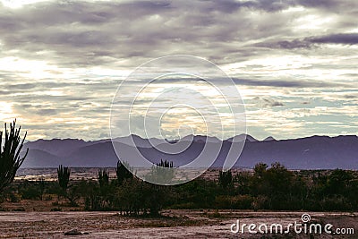 Cloudy sky over the valley with wild plants at the Tatacoa Desert, Colombia at sunset Stock Photo