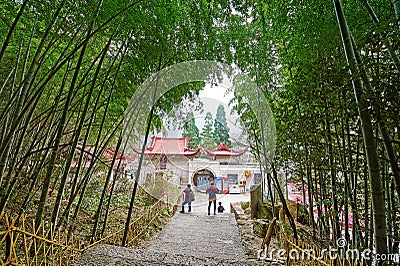 Cloudy Valley Temple bamboo forest Editorial Stock Photo