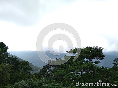 A cloudy weather on the mountain of Tana Toraja Indonesia Stock Photo