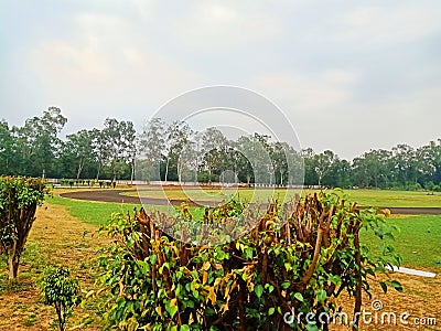 cloudy weather view ground of Chandigarh Stock Photo