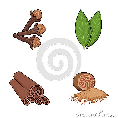Clove, bay leaf, nutmeg, cinnamon.Herbs and spices set collection icons in cartoon style vector symbol stock Vector Illustration