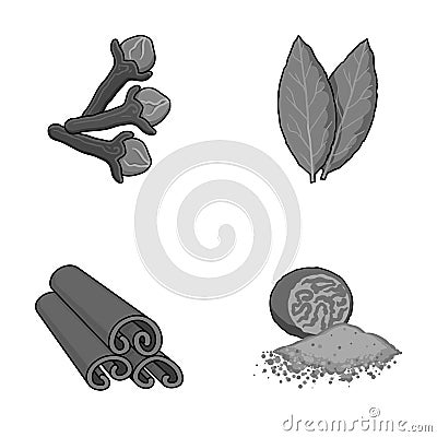 Clove, bay leaf, nutmeg, cinnamon.Herbs and spices set collection icons in monochrome style vector symbol stock Vector Illustration