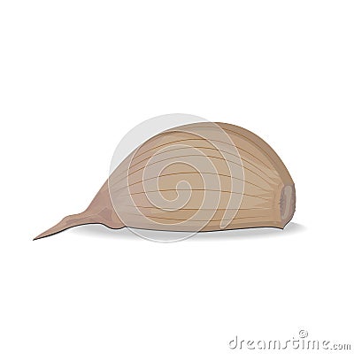 Clove of garlic. Isolated vector object Vector Illustration