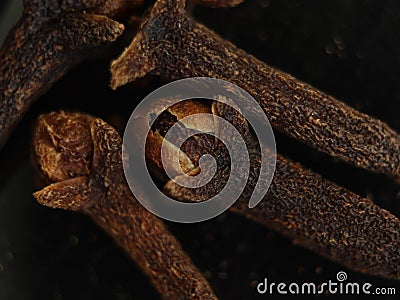 Clove spices aromas flavors natural plant food kitchen Stock Photo