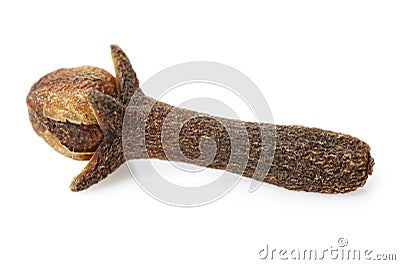 Clove spices Stock Photo