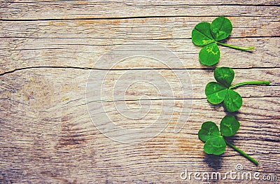 Clover leaf. Happy St. Patrick`s Day. Stock Photo