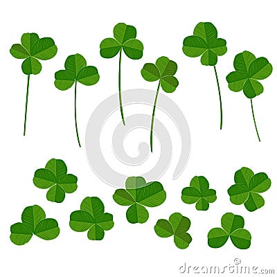 Clover leaves set, quarterfoil and trefoil, with stems and without one. Vector illustration. Patricks Day design element Vector Illustration