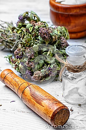 Clover medicinal plant Stock Photo