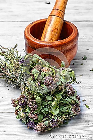 Clover medicinal plant Stock Photo