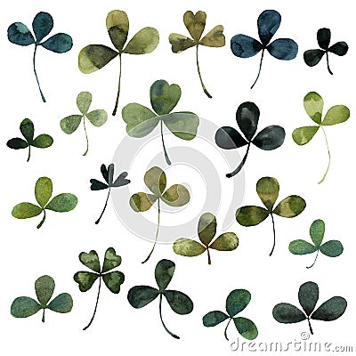 Clover plants leaves, botanical watercolor illustration, Cartoon Illustration