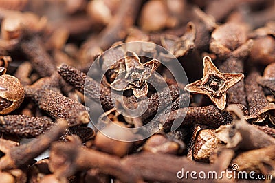 Cloves Stock Photo