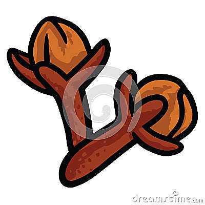 Cloves Dried Clove Vector Hand Drawn Drawing Illustration Icon Vector Illustration