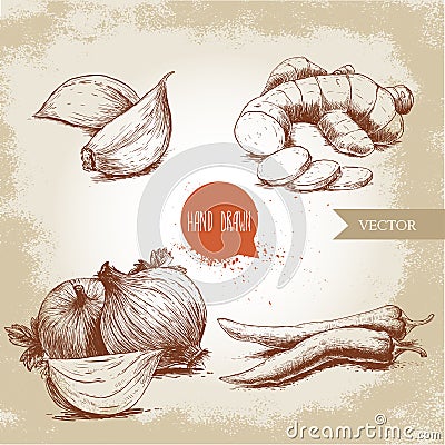 Cloves of garlic, ginger root, onions and chili peppers. Vector Illustration