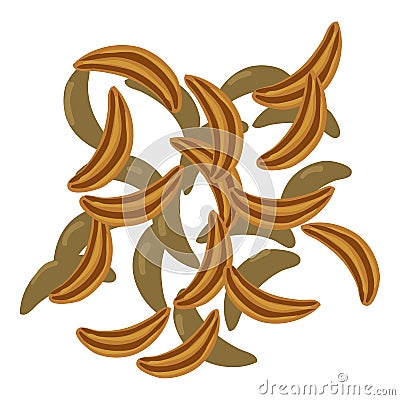 Cloves icon, cartoon style Vector Illustration