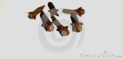 Cloves are the aromatic flower buds of a tree ,Syzygium aromaticum , laung. Stock Photo