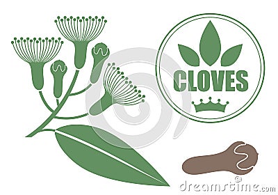 Cloves Vector Illustration