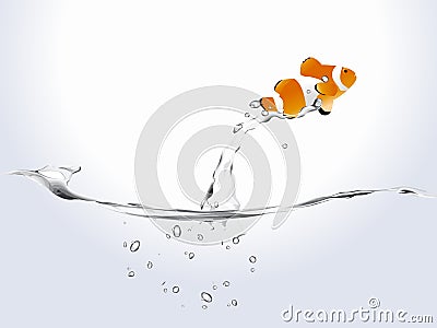 Clown fish Vector Illustration