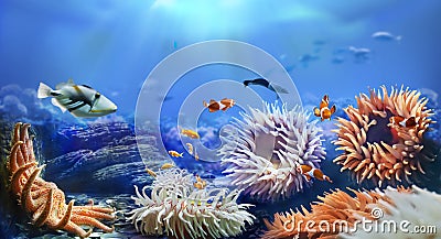 Clownfish swimming among sea anemones. Stock Photo